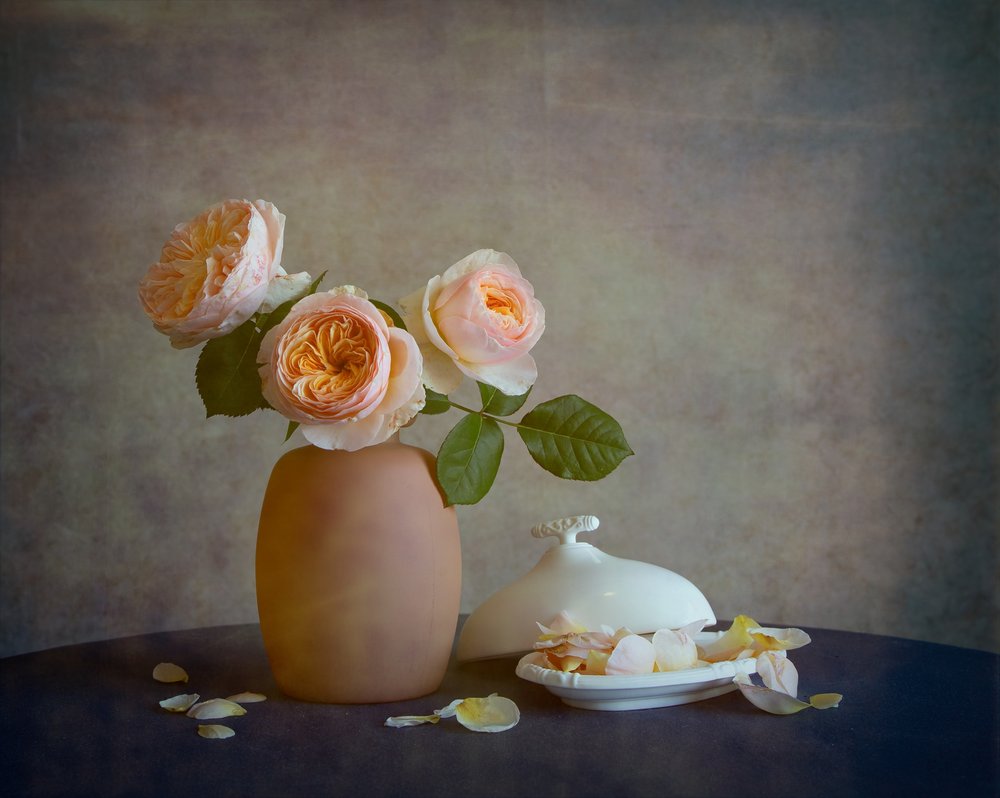 Blush Roses Still Life by Fangping Zhou