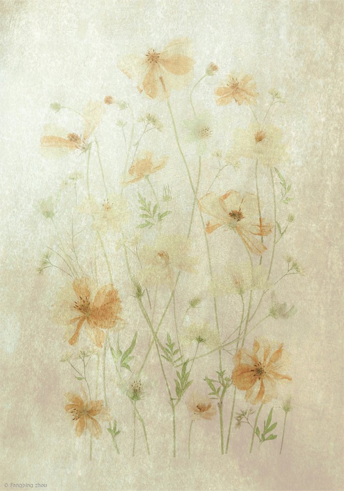 Faded Poppy Field by Fangping Zhou
