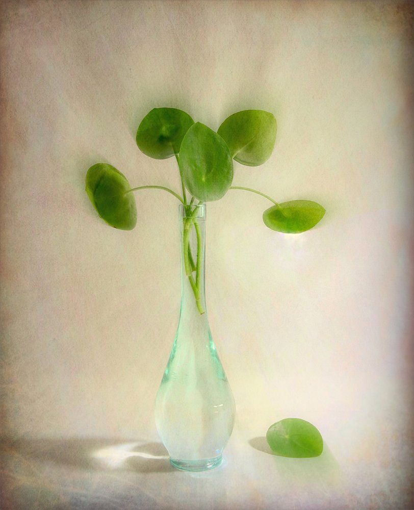 Round Leaves Glass Vase by Fangping Zhou