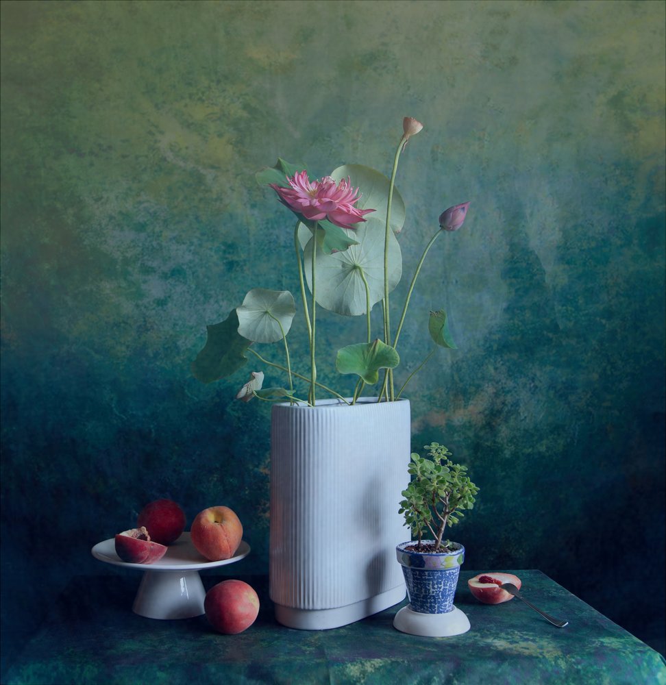 Serene Lotus Still Life by Fangping Zhou