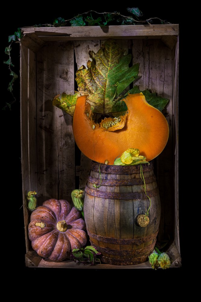 Rustic Autumn Pumpkins by Felice Angelino