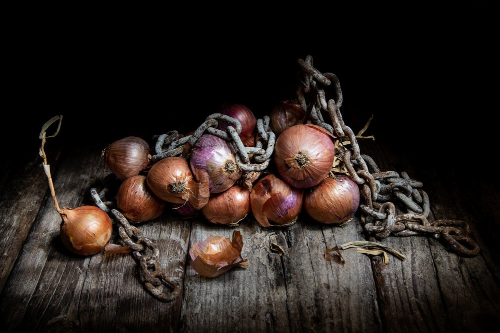 Rustic Onions and Chain by Felice Angelino