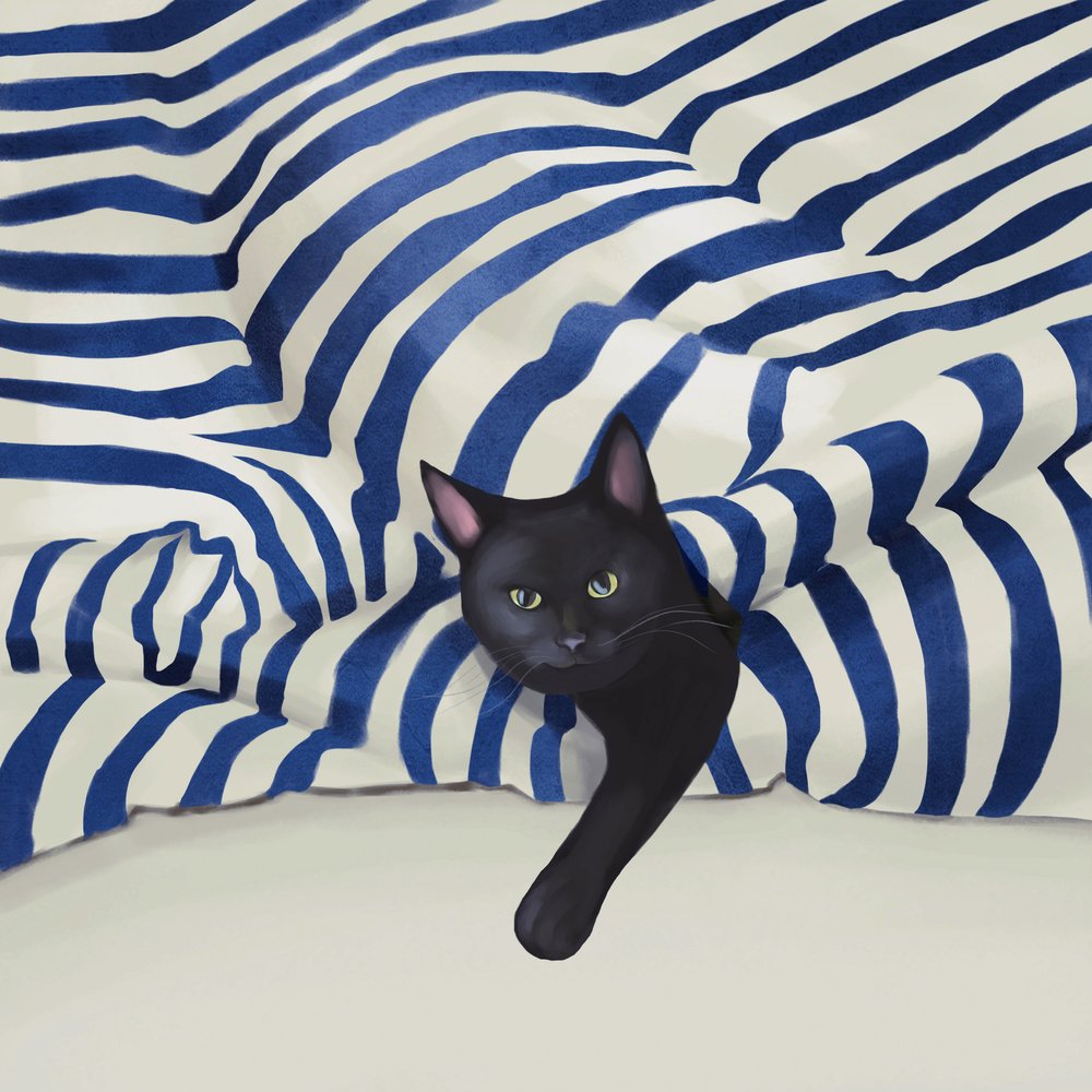 Peeking Black Cat by Flow Line