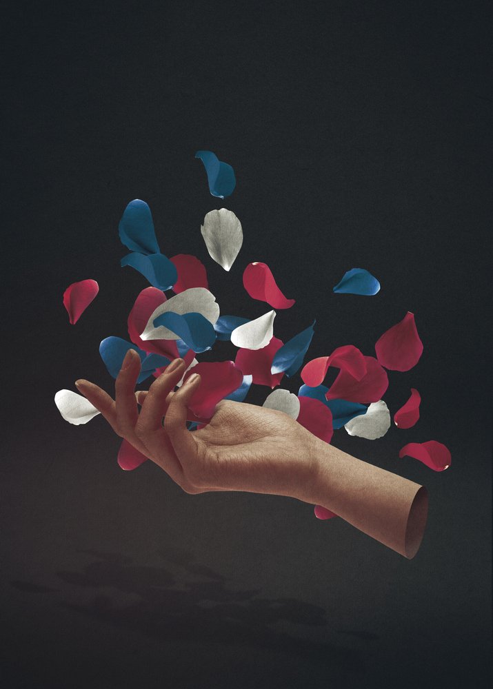 Elegant Hand Floating Petals by Fran Rodríguez