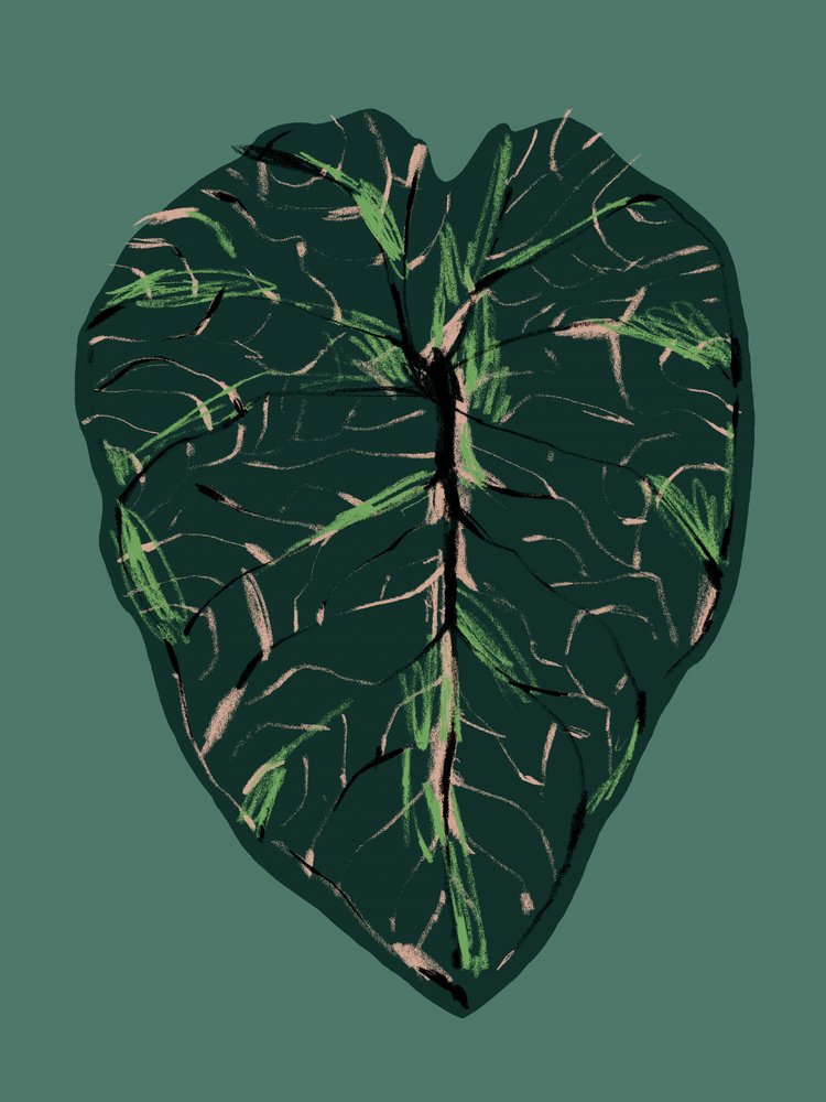 Deep Green Botanica by Francesco Gulina