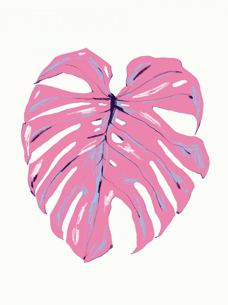 Tropical Pink Monstera by Francesco Gulina