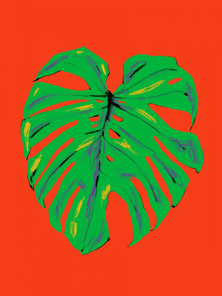 Vibrant Monstera Leaf by Francesco Gulina