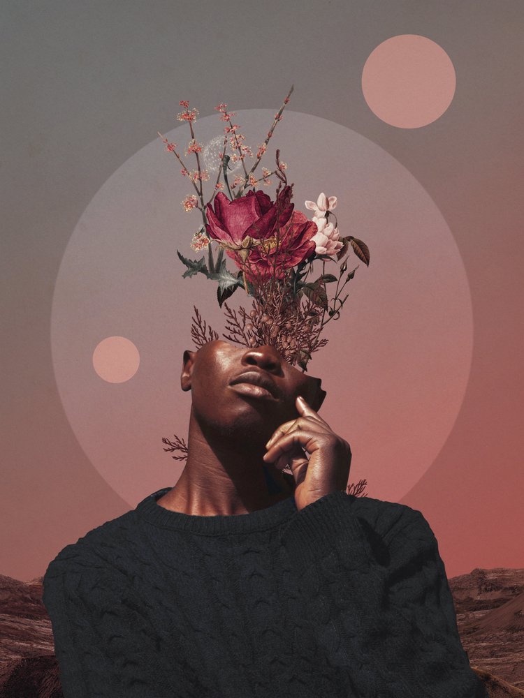 Pale Memories of Dusk by Frank Moth