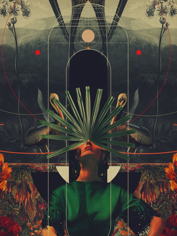 She Saw the Equator by Frank Moth