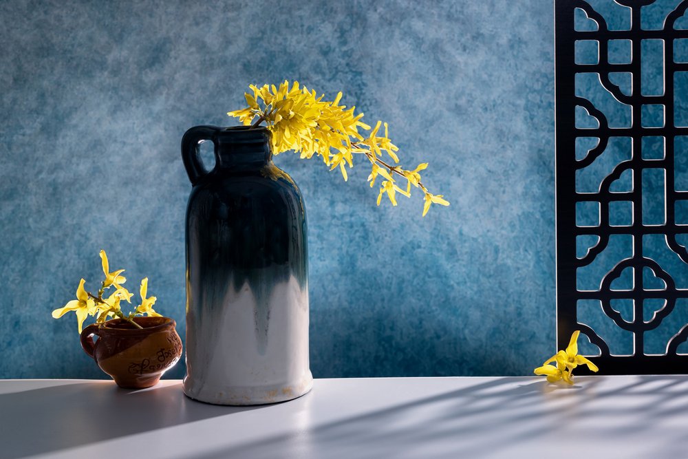 Elegant Forsythia Still Life by GaoSL