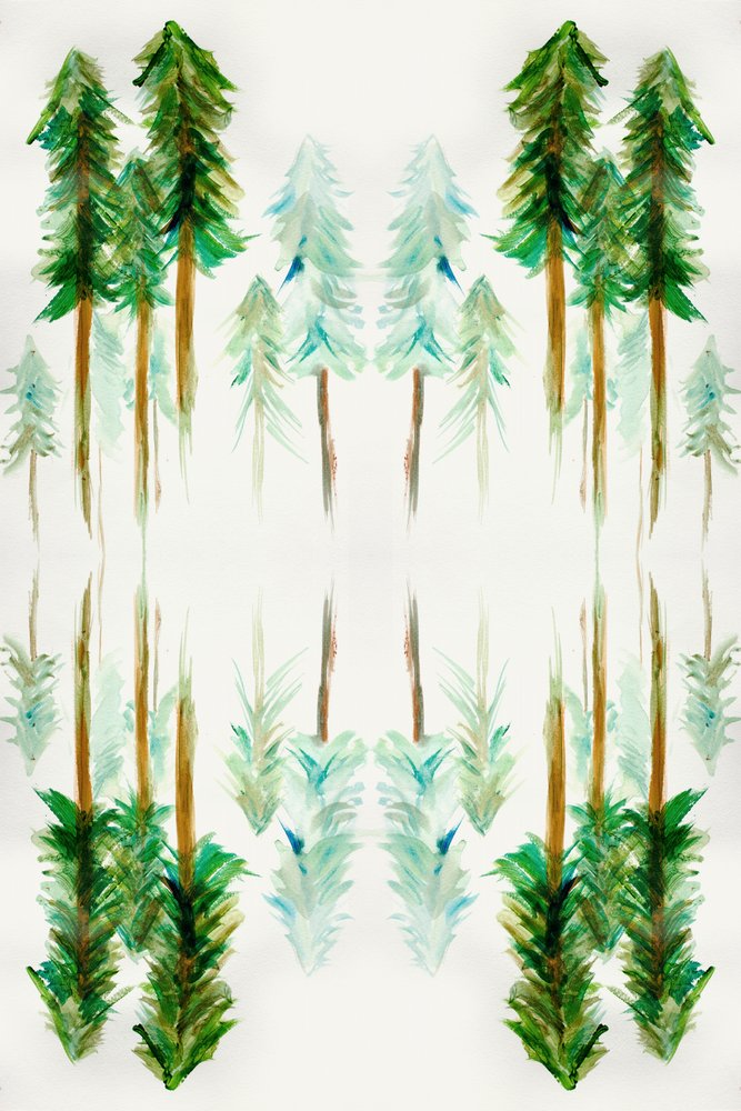 Mirrored Pine Forest by Gemma Bardot