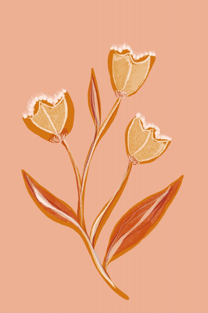 Soft Peach Flowers by Gemma Bardot