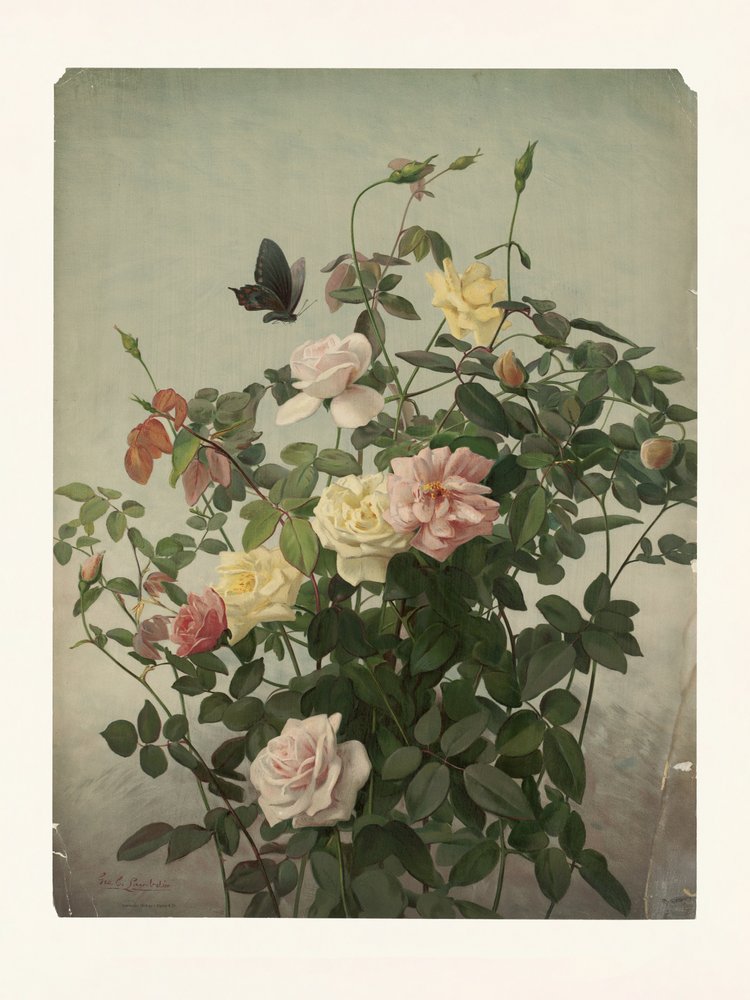 Roses by George Cochran Lambdin