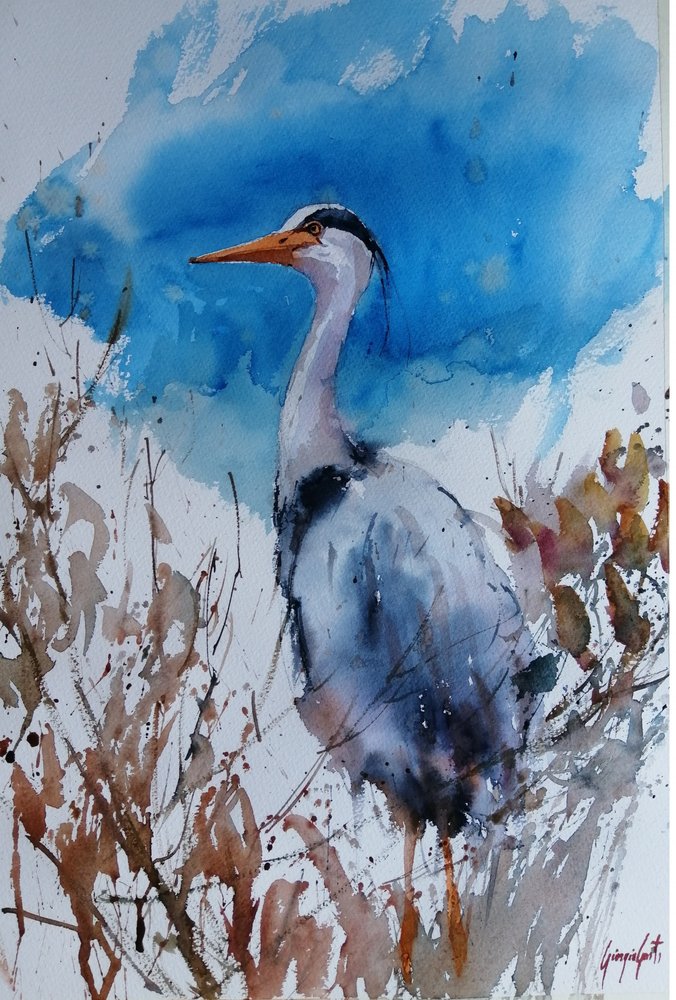 Blue Heron Watercolor by Giorgio Gosti
