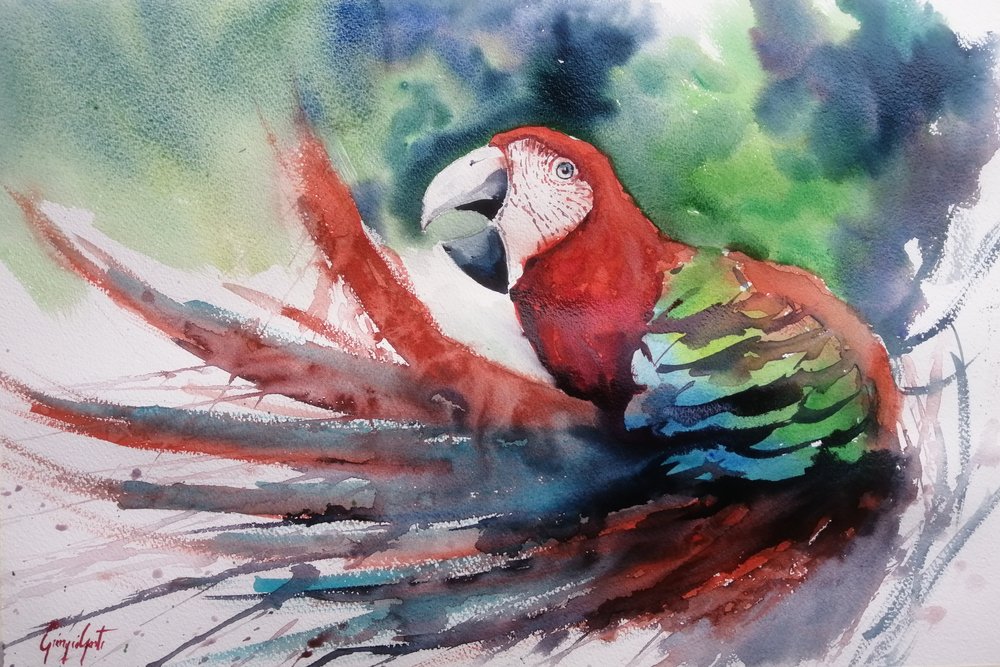 Colorful Jungle Macaw by Giorgio Gosti