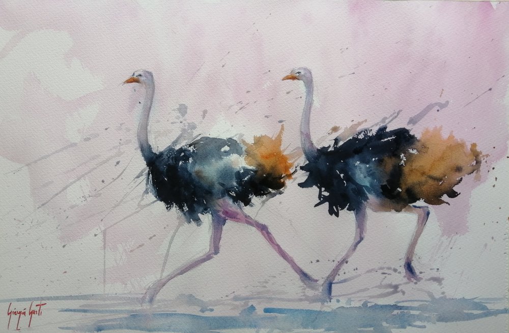 Graceful Ostrich Stride by Giorgio Gosti