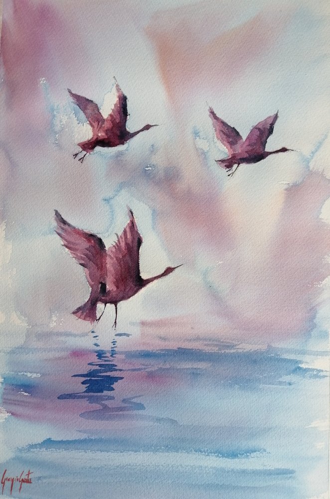 Graceful Pink Birds by Giorgio Gosti