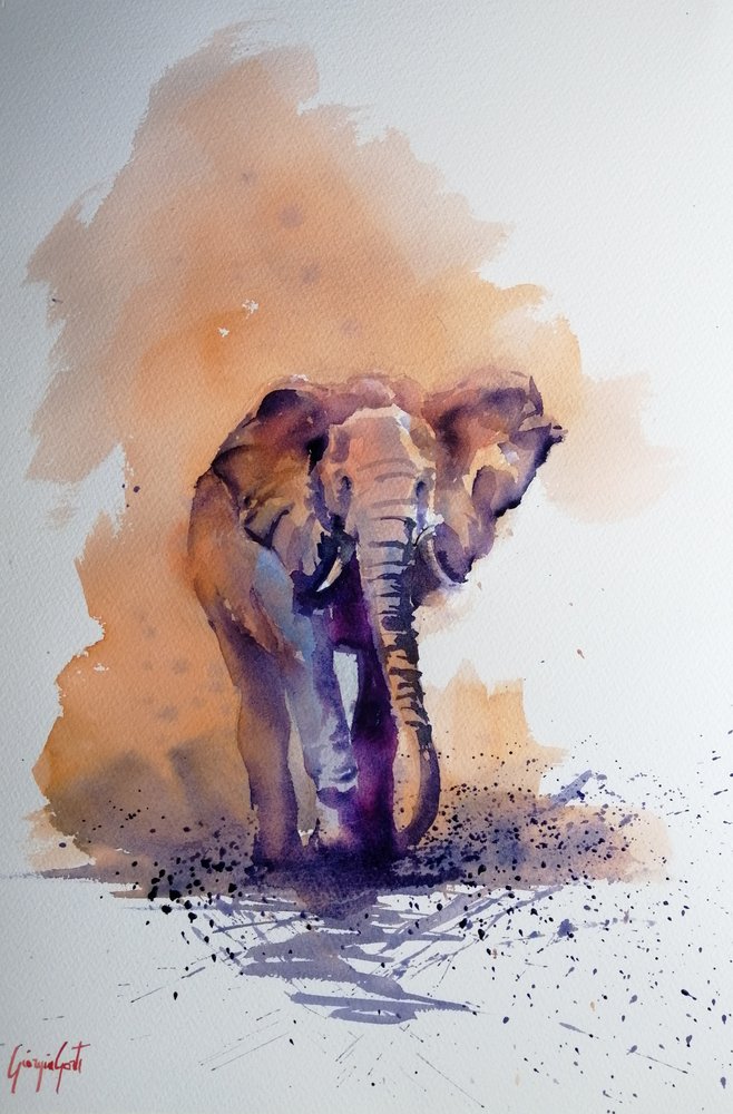 Majestic African Elephant by Giorgio Gosti