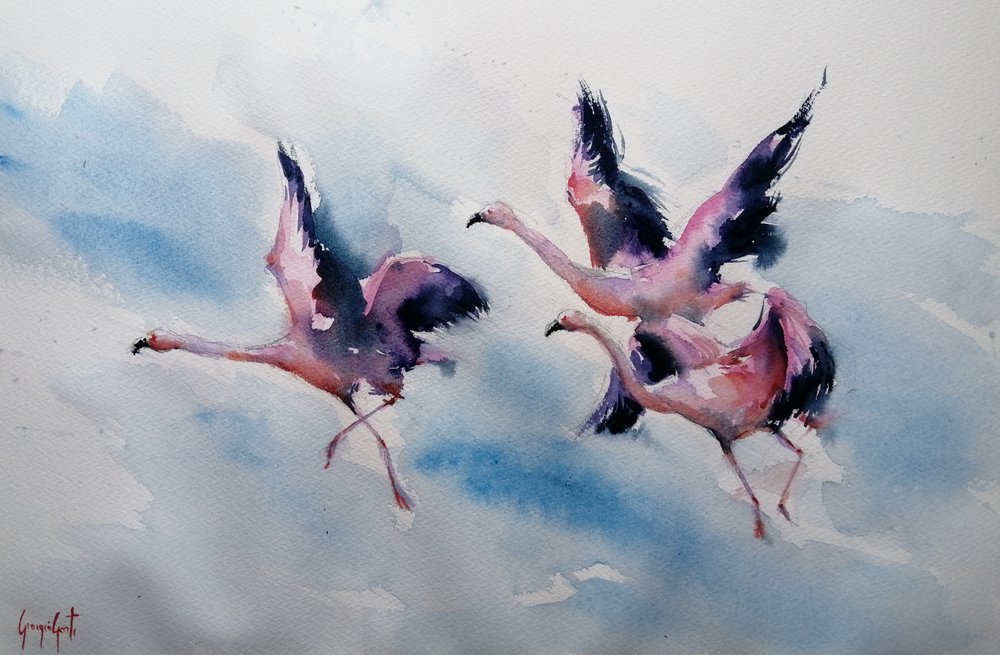 Pink Flamingos Soaring by Giorgio Gosti