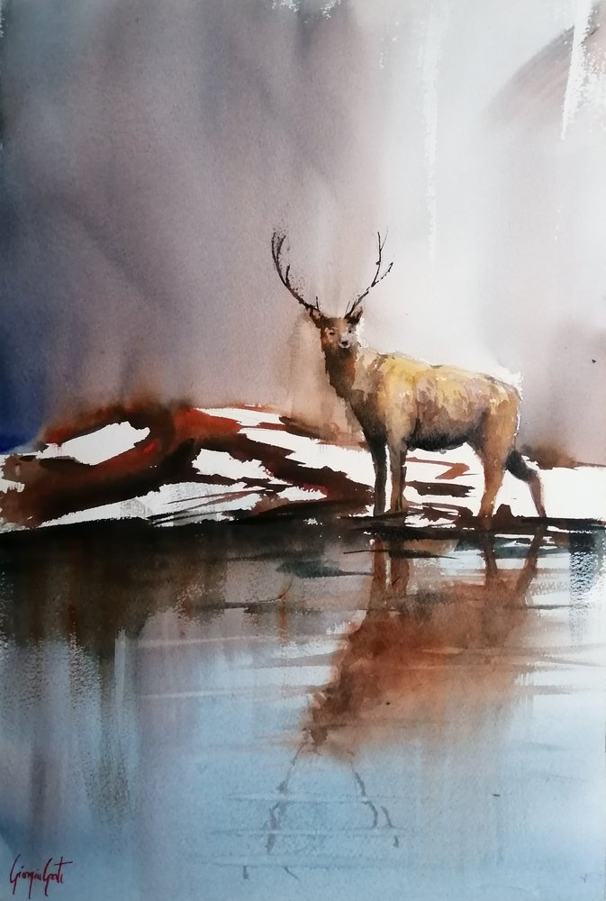 Reflecting Winter Stag by Giorgio Gosti