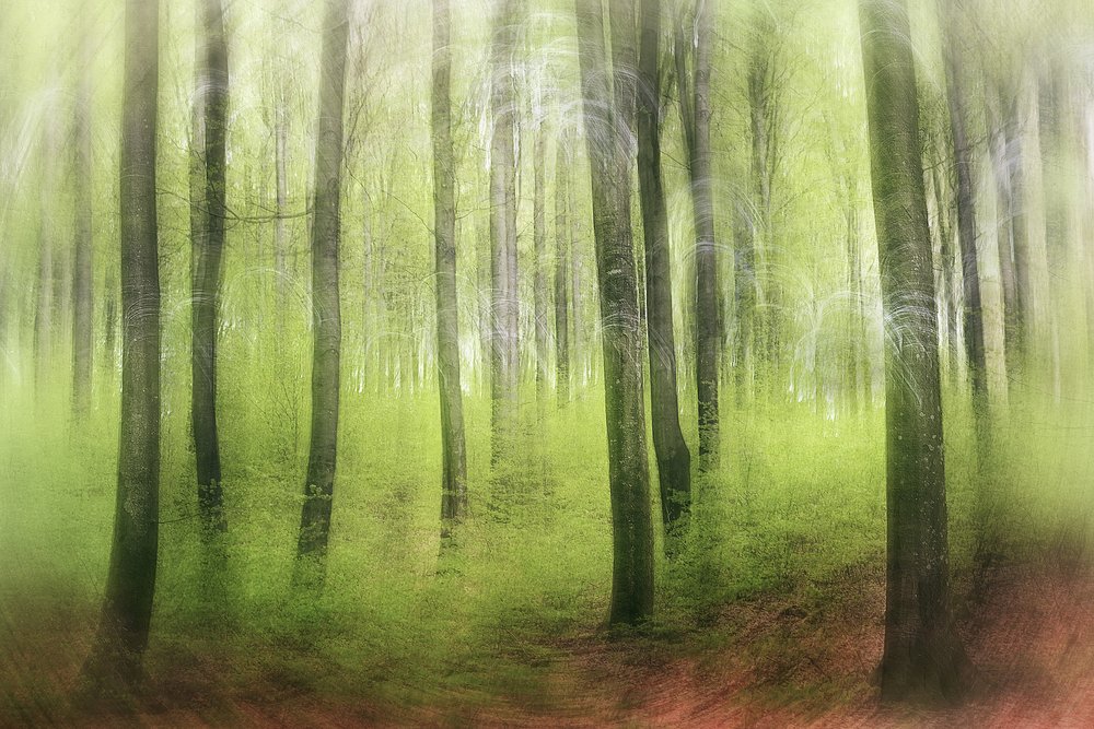 Spring Impression by Gustav Davidsson