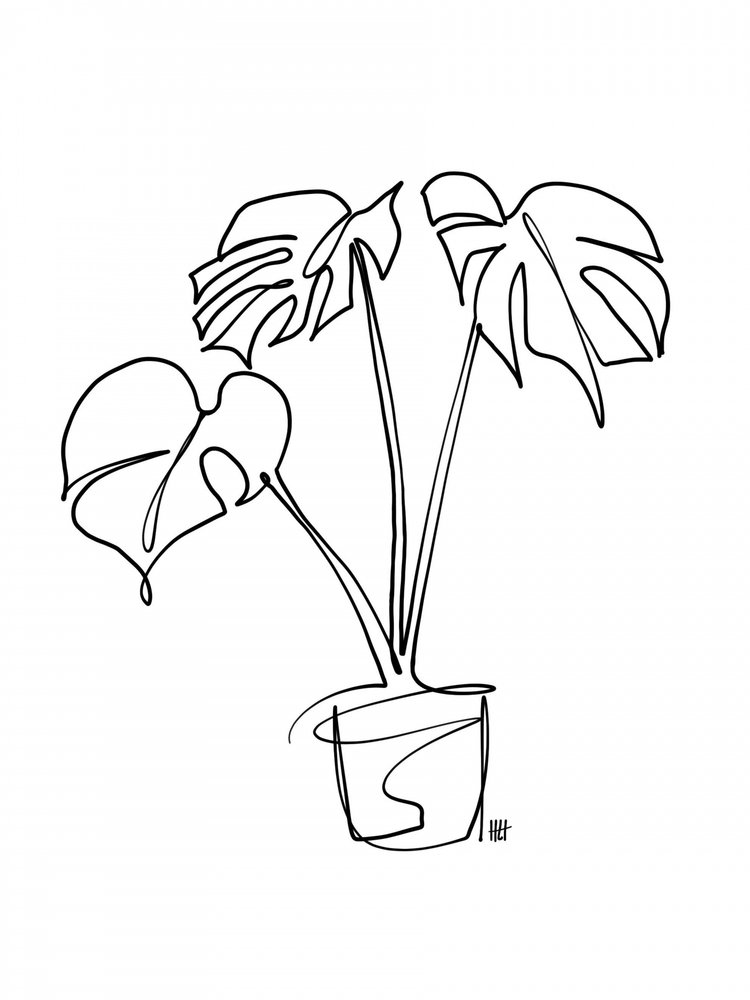 Monstera Line Art by Hanna Lee Tidd
