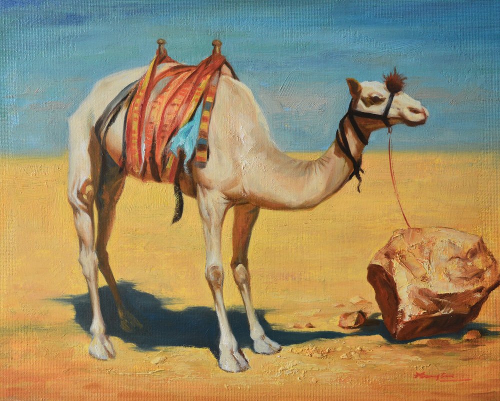 Tethered Desert Camel by Hongtao Huang