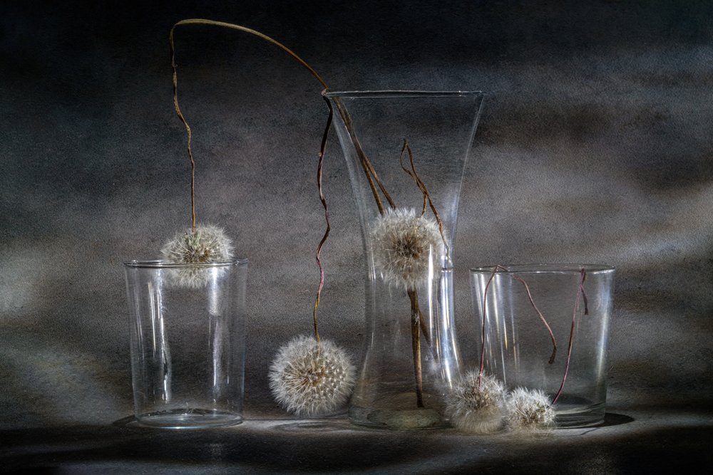 Dandelion Trap by Igor Kopcev