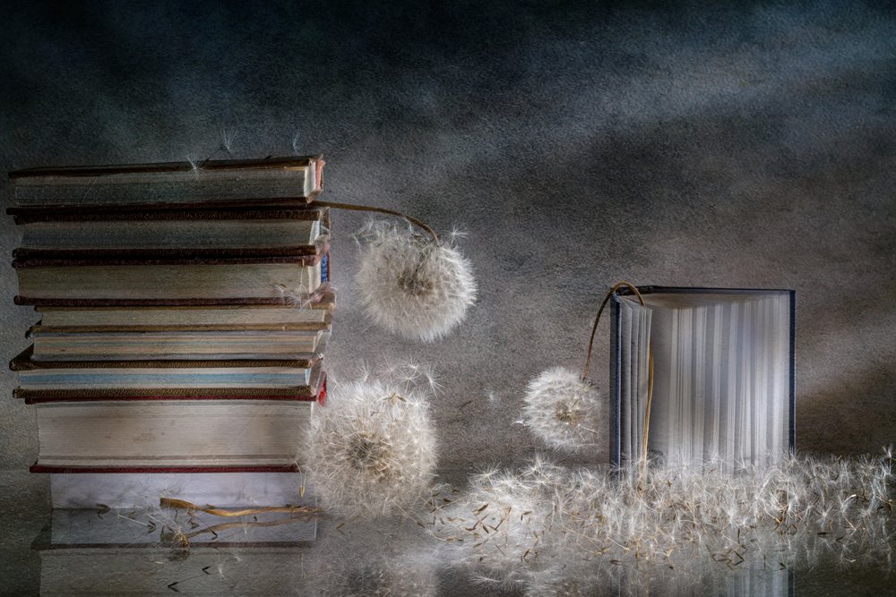 Dreamy Books and Dandelions by Igor Kopcev