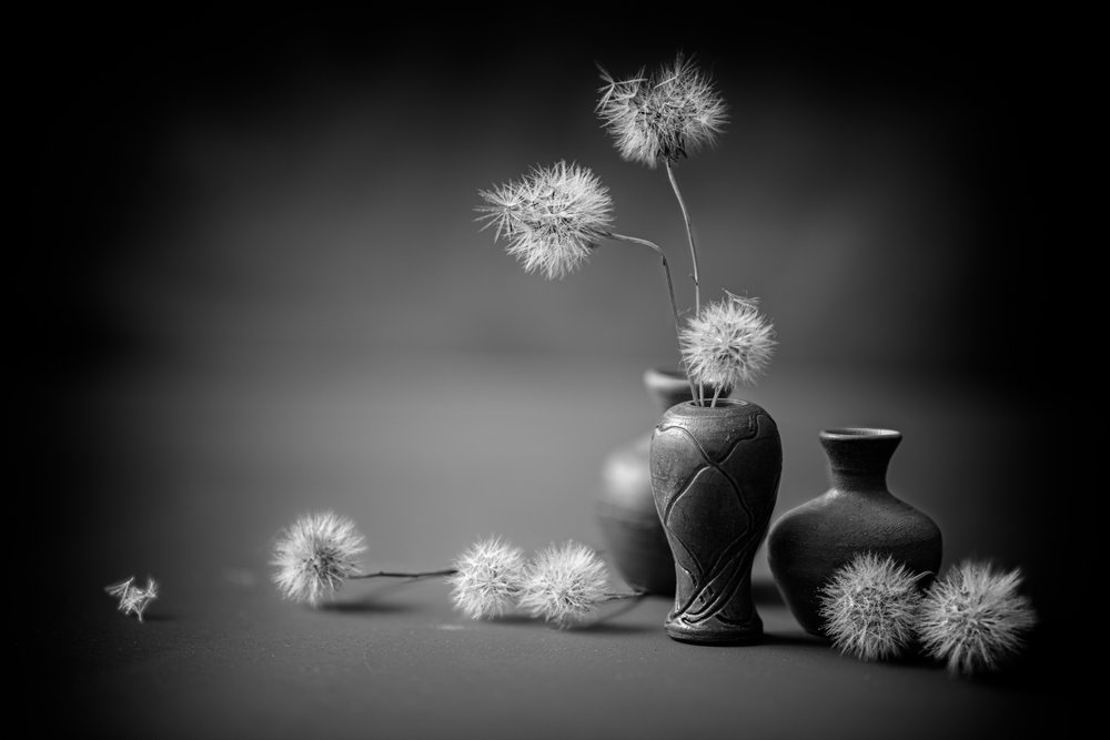 Serene Dandelion Vases by Igor Kopcev