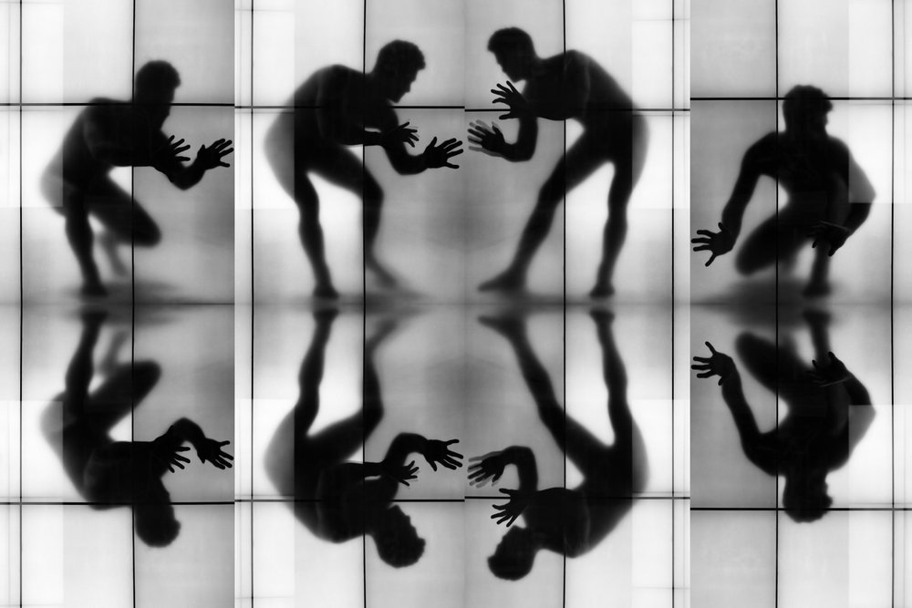 Dynamic Silhouettes Reflected by Igor Shrayer