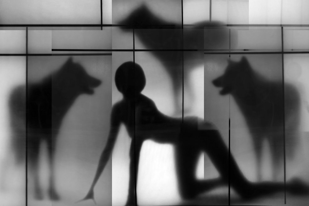 Woman and Wolf Shadows by Igor Shrayer
