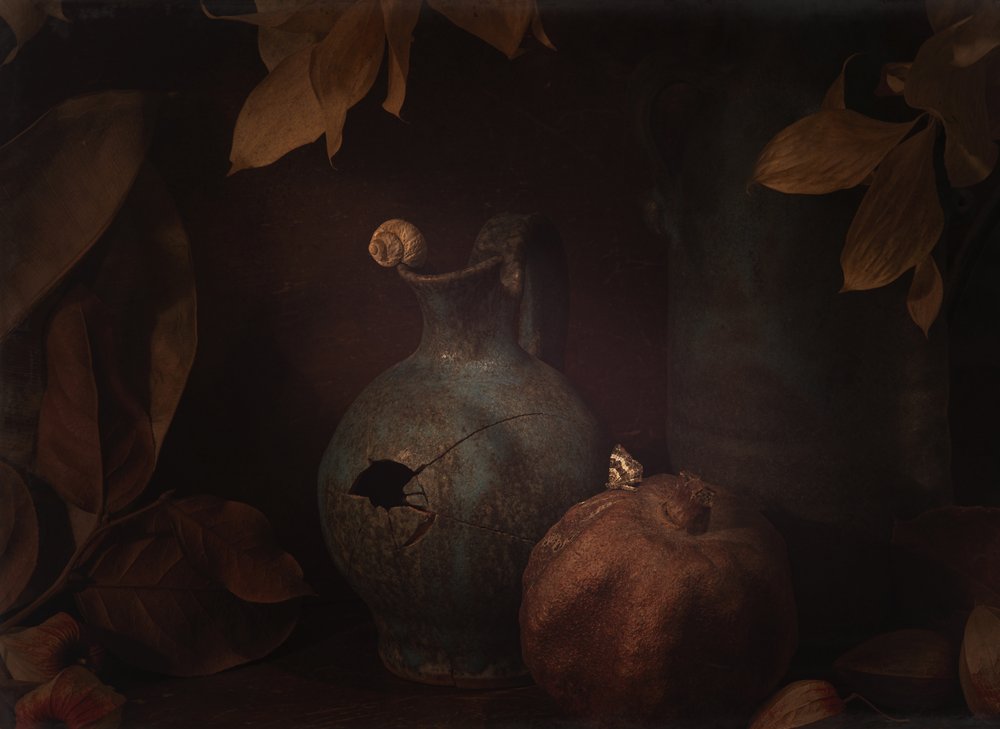 Moody Still Life Pomegranate by Igor Tokarev