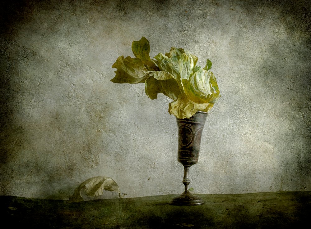 Withered Lettuce Goblet by Igor Tokarev