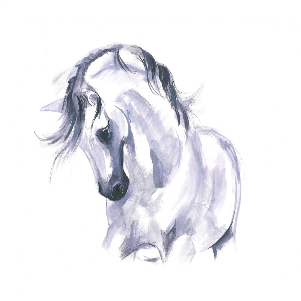 Horse in Movement Study by Isabelle Brent