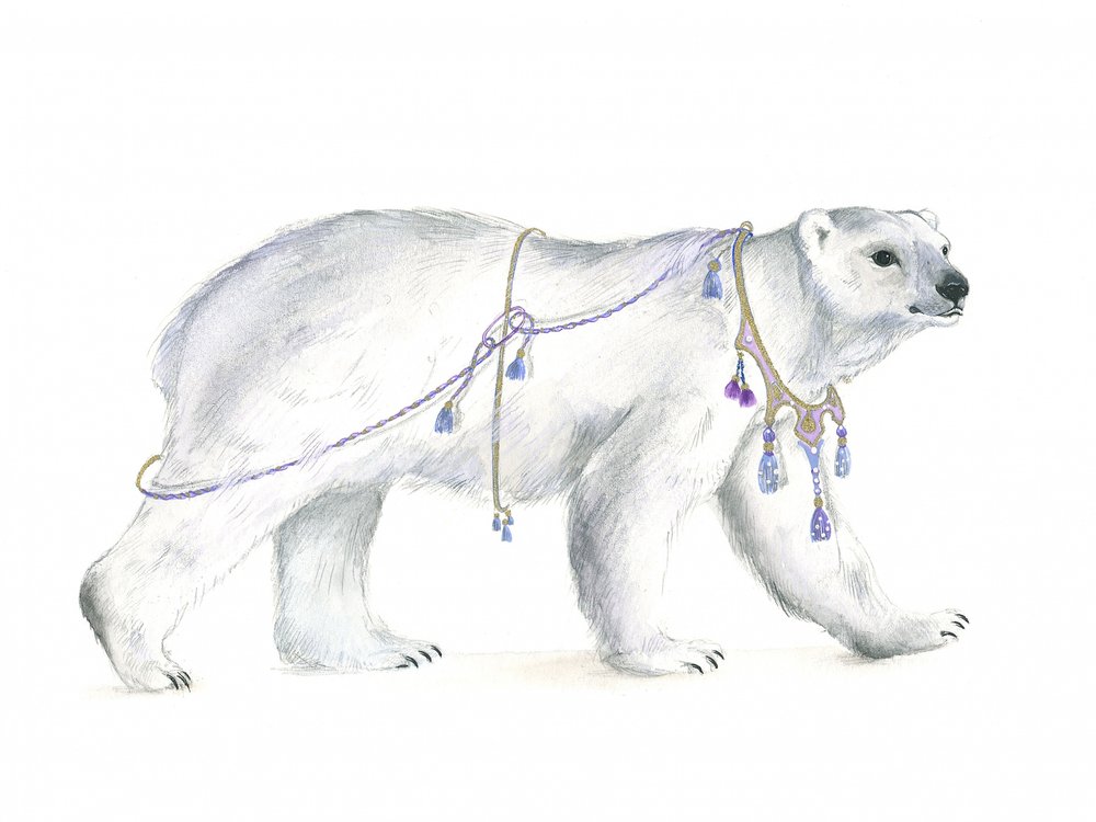 Regal Polar Majesty by Isabelle Brent