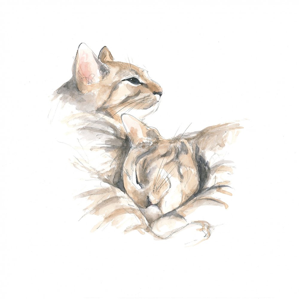 Relaxed Cats by Isabelle Brent