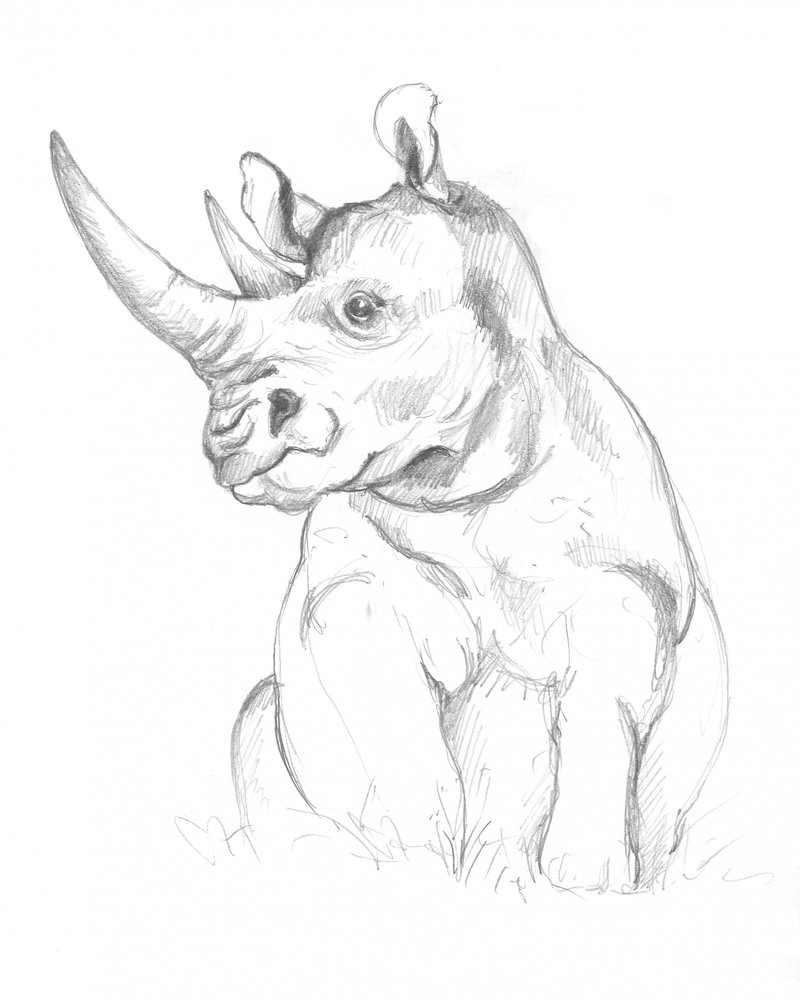 Rhinoceros by Isabelle Brent