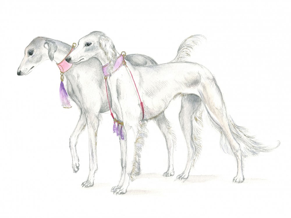 Saluki Dogs in Delicate Collars by Isabelle Brent
