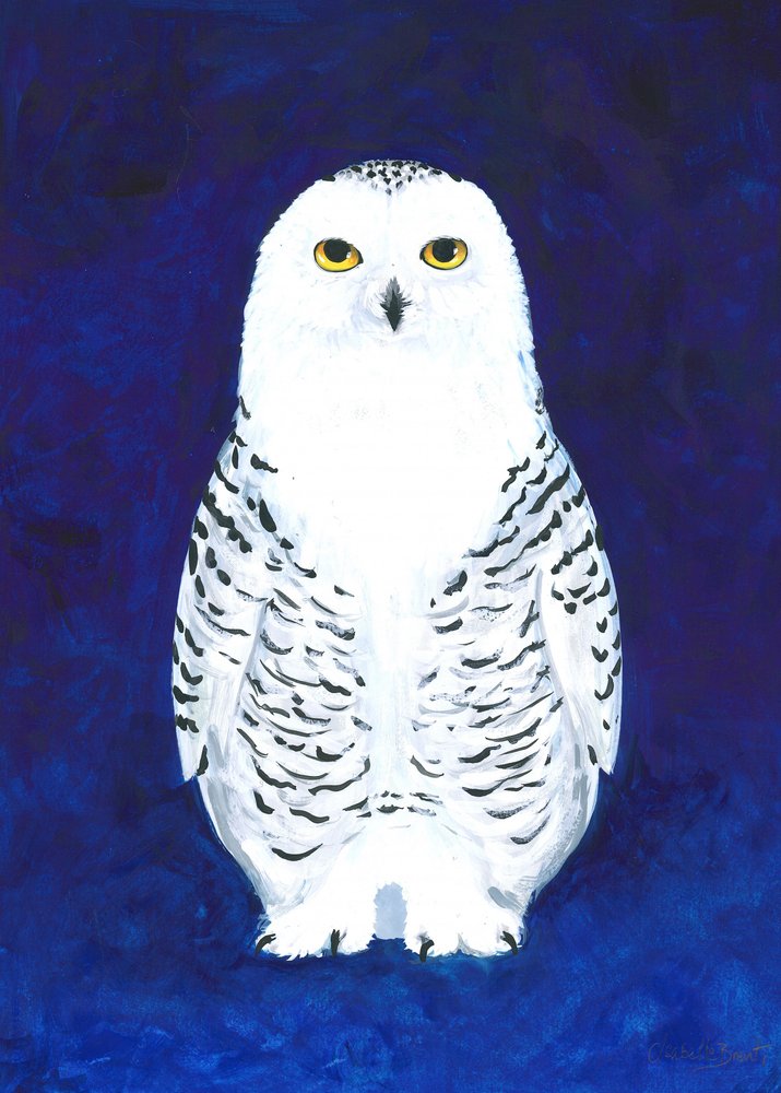 Solemn Snowy Owl by Isabelle Brent
