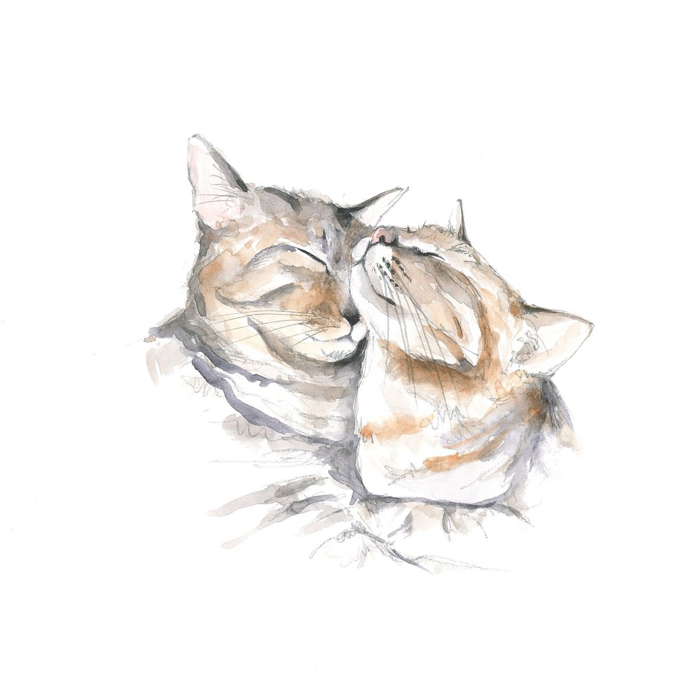 Sweetly Sleeping Cats by Isabelle Brent
