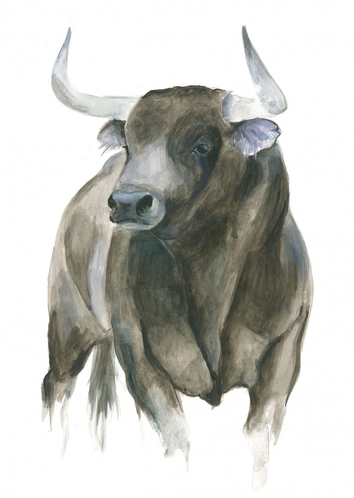 The Strength And Elegance Of A Bull by Isabelle Brent
