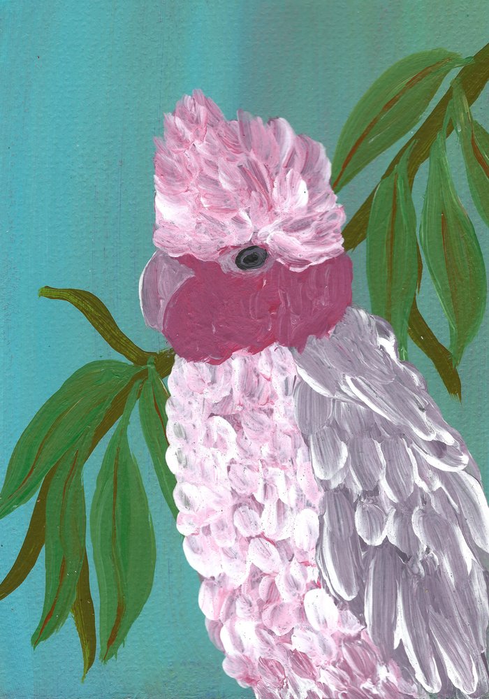 Vibrant Pink Cockatoo by Janine Brewster