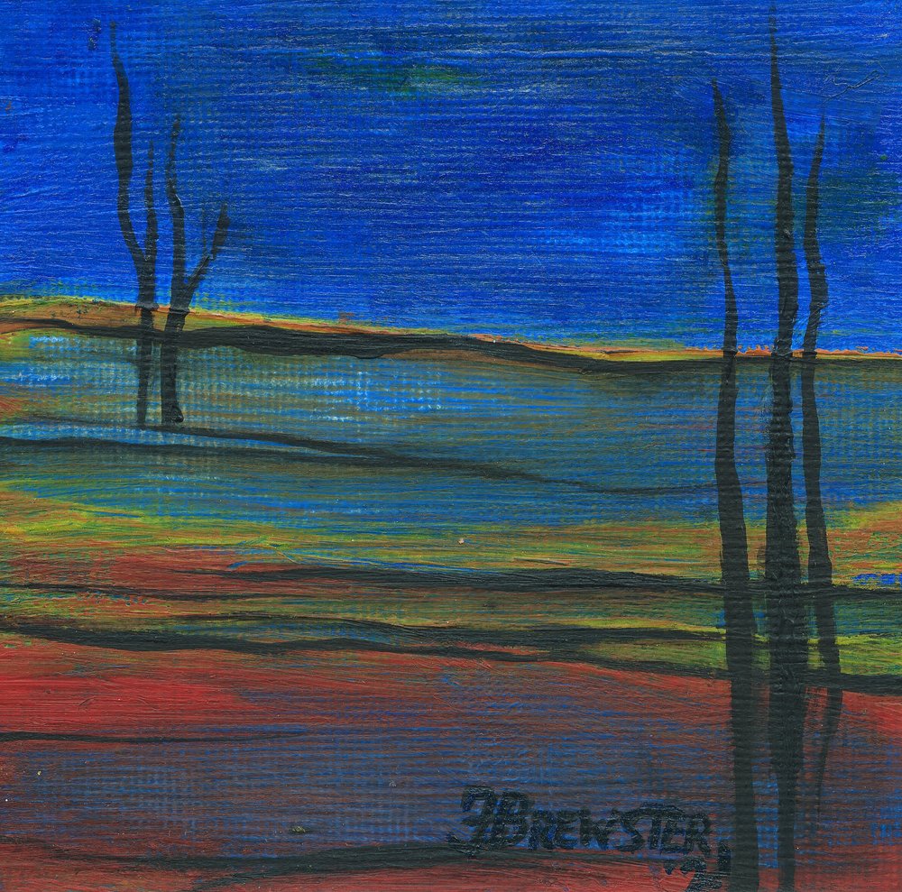 Vibrant Twilight Landscape by Janine Brewster