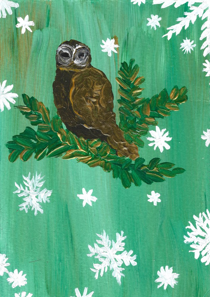 Winter Owl and Snowflakes by Janine Brewster