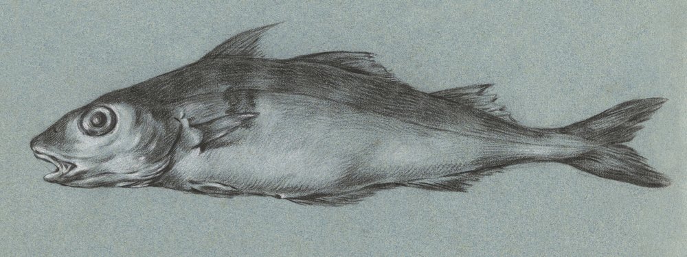 Fish Green by Jean Bernard