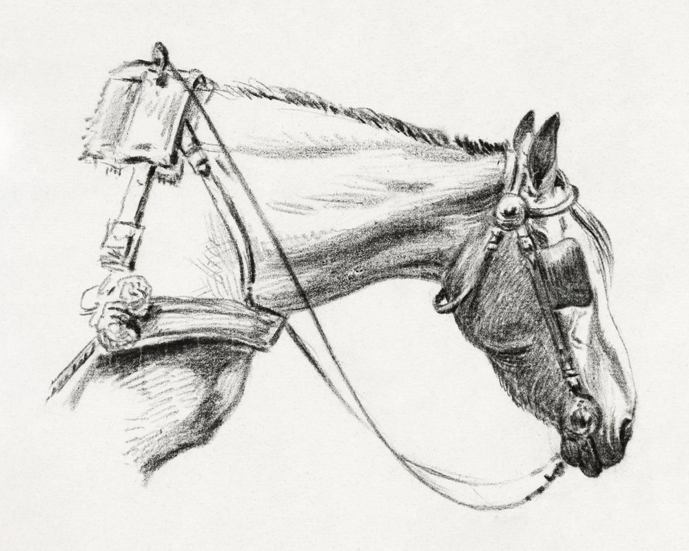 Head of a Horse by Jean Bernard