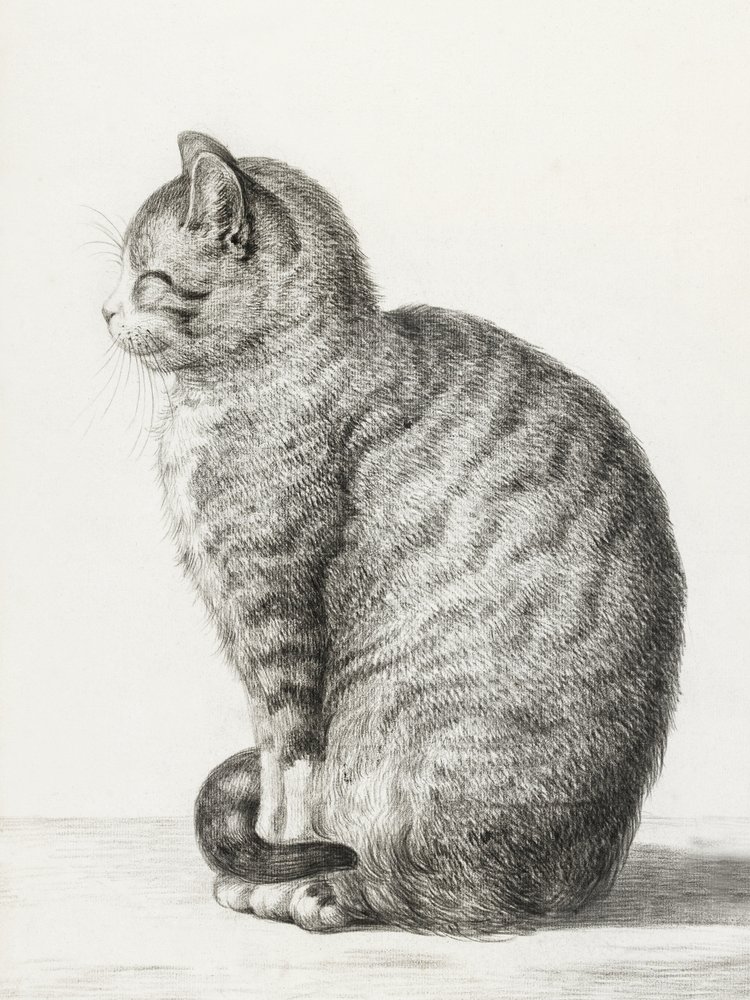 Sitting Cat by Jean Bernard