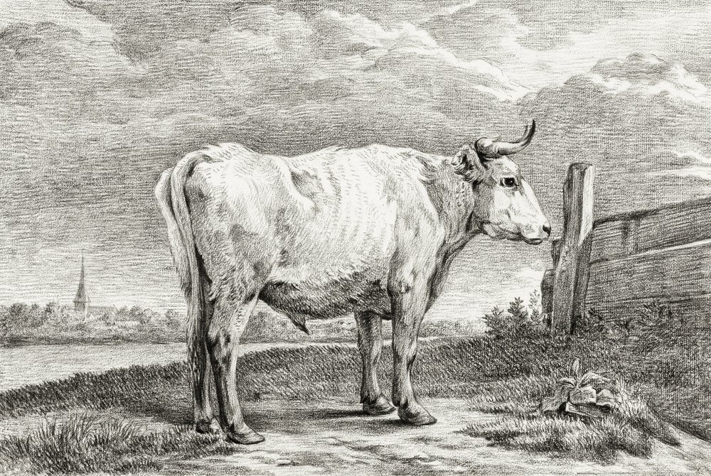 Standing Bull by Jean Bernard