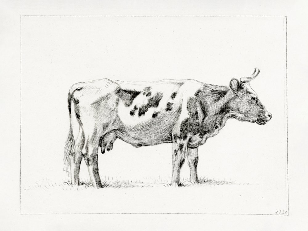 Standing Cow by Jean Bernard
